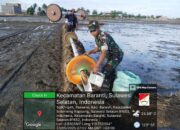 Babinsa Koramil 1420-07/Baranti Turun ke Sawah, Dukung Petani Tanam Padi dengan Metode Tabela