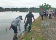 Basmi Hama Tikus, Babinsa Taccimpo Pimpin Aksi Serbu Sawah Petani