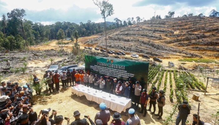 Tindak Tegas Perusakan Hutan, Polda Riau Tegaskan Komitmen Green Policing