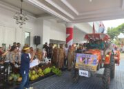 Karnaval Brigade Pangan di Sidrap: Semarakkan HUT RI, Gelorakan IP300