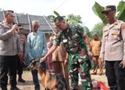 Wujud Peduli, Kapolres – Dandim Sidrap Beri Bantuan Kambing Untuk Pak Amir