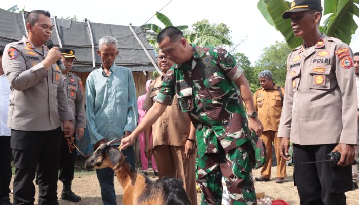 Wujud Peduli, Kapolres – Dandim Sidrap Beri Bantuan Kambing Untuk Pak Amir