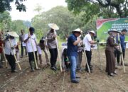 Polda Sulsel Tanam Jagung di Lahan 812 Hektar Pada Kuartal 1 Tahun 2026