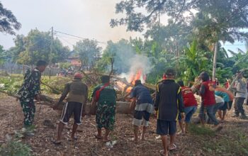 Bersihkan Pekuburan dan Pangkas Ranting, Babinsa Wettee Gelar Karya Bakti Massif Bersama Ribuan Warga