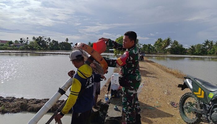 Babinsa Desa Kanie Dampingi Program Luas Tambah Tanam di Lahan Petani Ahmad Yani